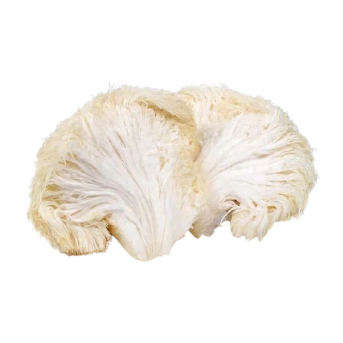 Maqui Berry Ingredient