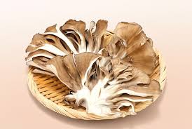 Rhodiola Ingredient